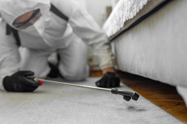 Professional Bed Bug Control technician working in Morganfield, KY