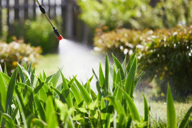 24/7 Emergency Bed Bug Control experts in Morganfield, KY