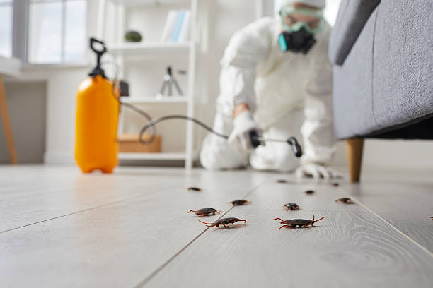 Trusted Termite Control service in Morganfield, KY - Nex Pest Control