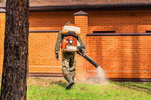 Trusted Rodent Control service in Morganfield, KY - Nex Pest Control
